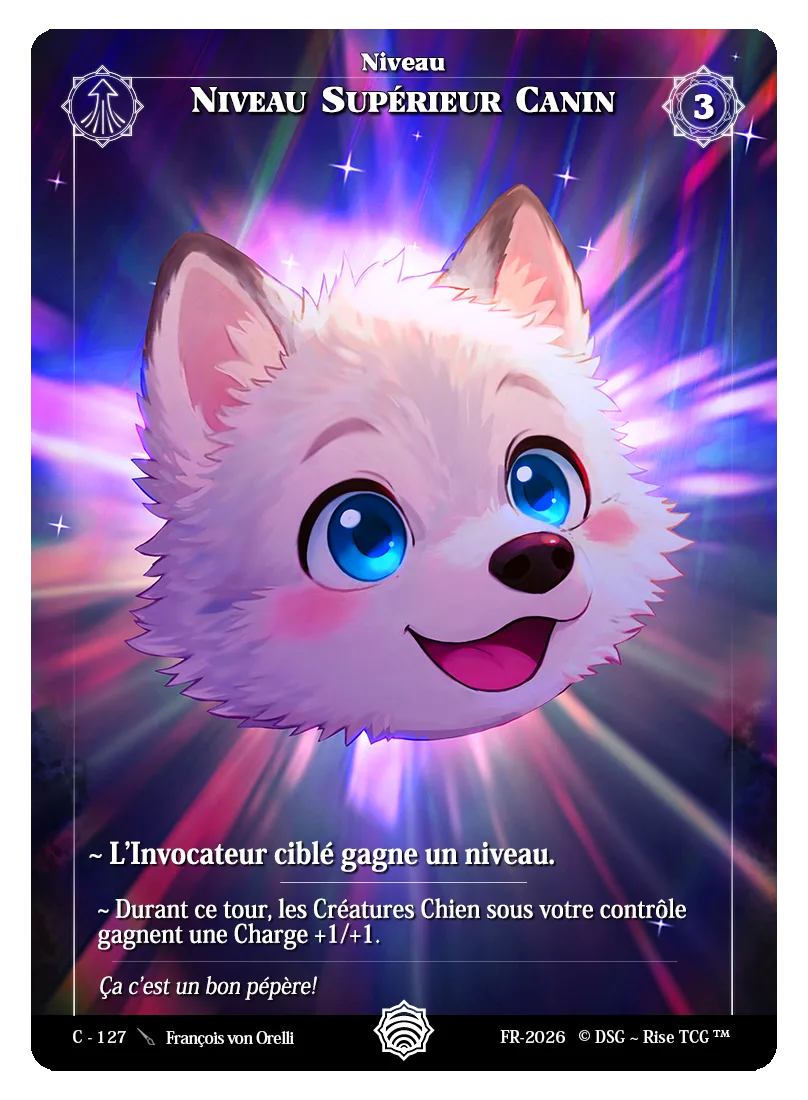 Niveau Supérieur Canin